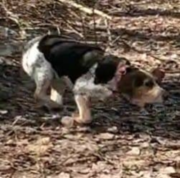 Charity alex Tirpak - Poshmark Profile Picture of Charity alex Tirpak (@gravity152) on Poshmark