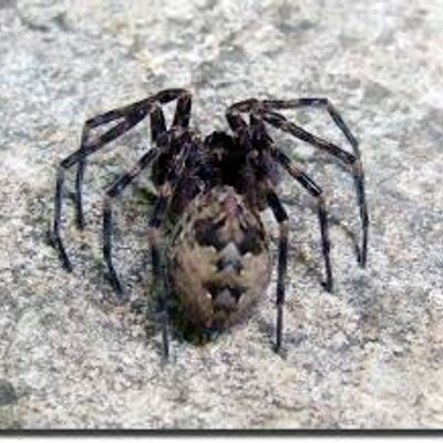 Profile Picture of Brian Liddle (@brianliddle2) on Twitter