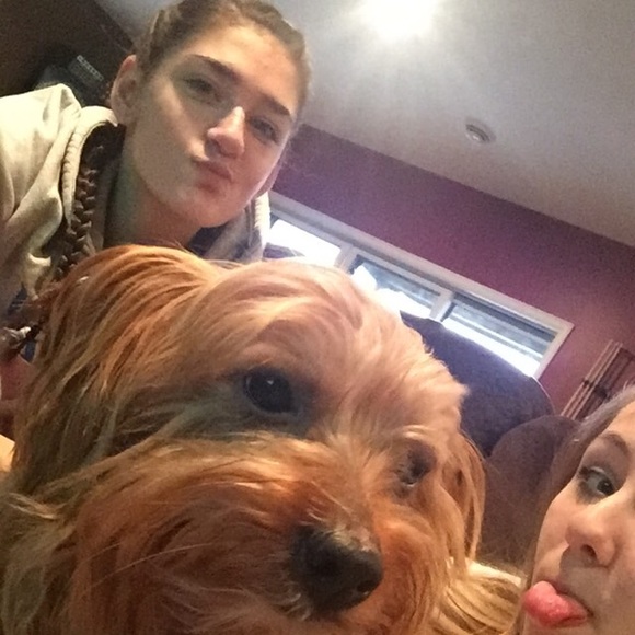 Profile Picture of Maddie Qualen (@dinoickanish) on Poshmark