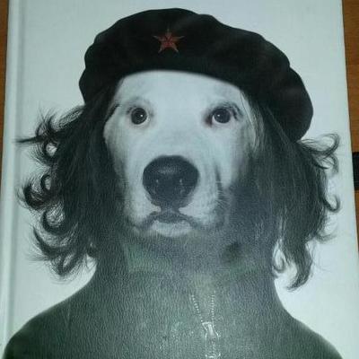 Profile Picture of Salvador Jiménez (@sjimenez) on Twitter