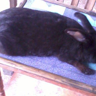 Profile Picture of Liezel Harold (@liezel.harold) on Facebook