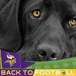 Profile Picture of Joseph Hundeby (@hundebyjoseph) on Instagram