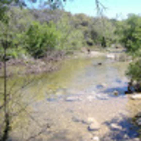 Profile Picture of M Parker (@mparker574) on Poshmark