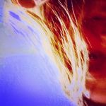 Profile Picture of jeremy amaral (@jeremy_amaral) on Instagram