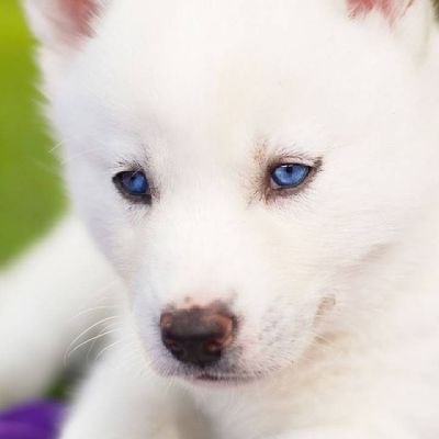 Profile Picture of Deborah Craddock (@DeborahCraddoc8) on Twitter