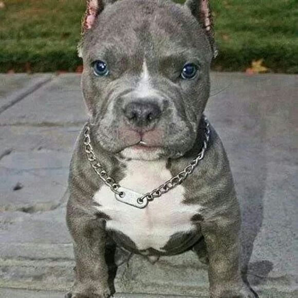 Profile Picture of Leonel Esparza (@esparzaleonel) on Poshmark