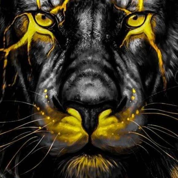 Profile Picture of Doug Taylor (@dougtaylor942) on Poshmark