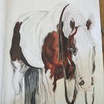Profile Picture of Olivia Simonetti (@olivia_all_around_art) on Instagram