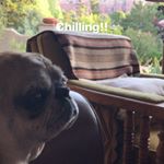 Profile Picture of Jeremy Wallen (@jwallen4) on Instagram