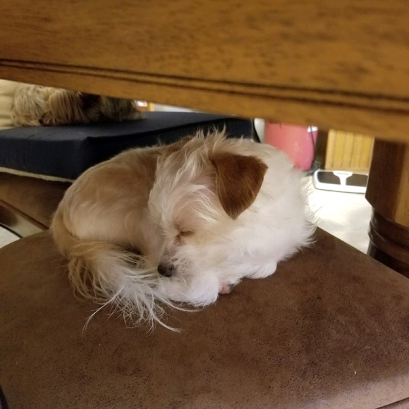 Profile Picture of Merridee Yates (@dyates123) on Poshmark