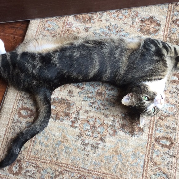 Profile Picture of Bobbie Davies (@bobbie0605) on Poshmark