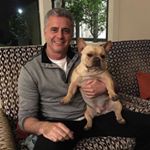 Profile Picture of dannybrown589 (@dannybrown589) on Instagram