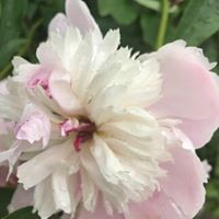 Lee Leissring - Quora Profile Picture of Lee Leissring (@lee-leissring) on Quora