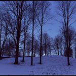 Profile Picture of Richard Cofrancesco (@richard.cofrancesco) on Instagram