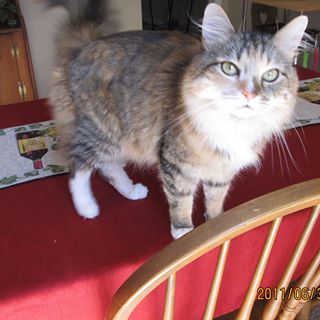 Cali Mitchell - Facebook Profile Picture of Cali Mitchell (@cali.mitchell.1) on Facebook