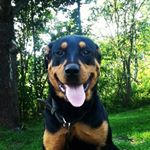 Profile Picture of jeremy messier (@jeremymes1234) on Instagram