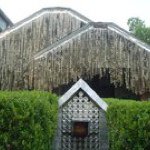 Profile Picture of Whitney Wheeler (@whitwheel) on Instagram