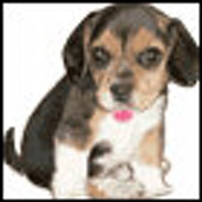 Profile Picture of Silvia Falcon Rivera (@silviafalconriv) on Twitter