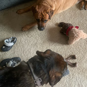 Profile Picture of Skylar Taylor (@user-qt2ed6jw8g) on Youtube