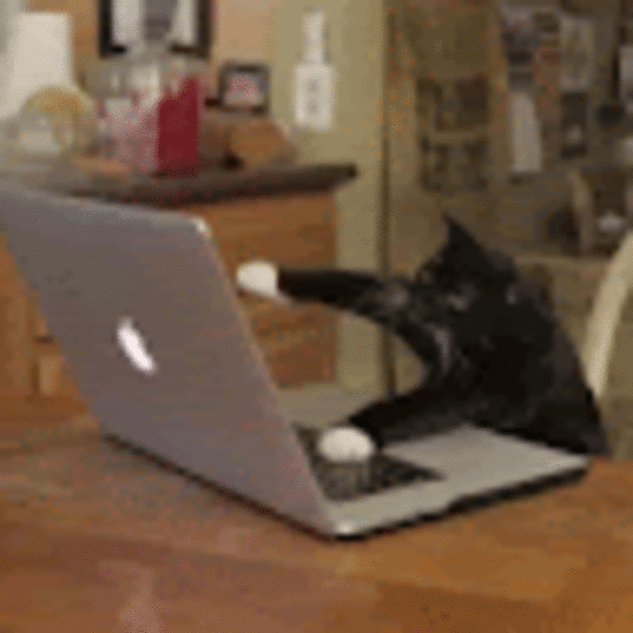 Profile Picture of Matthew Brenkovich (@brenkovichm) on Poshmark