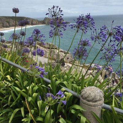 Profile Picture of Katie (@lambie155) on Twitter