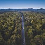 Profile Picture of Debbie Randall (@ishnrielallie) on Instagram