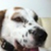 Profile Picture of jonathan.doe.18062533 (@jonathan.doe.18062533) on Flickr