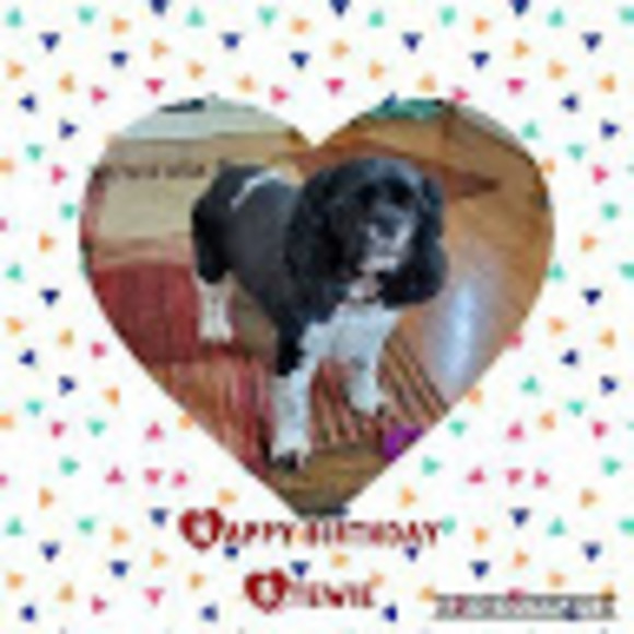 Profile Picture of Piney Clements (@pineyclements) on Poshmark