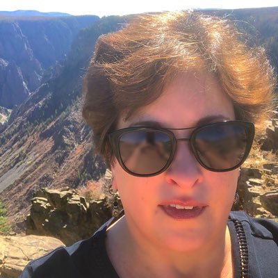 Profile Picture of Lori VOTE BLUE To Save The Soul Of Our Country (@LoriPrullMeyer) on Twitter