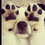 Profile Picture of Carly Parrant (@xxcarlyoxx) on Instagram