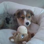 Profile Picture of Thomas Rief (@thomas.rief) on Instagram