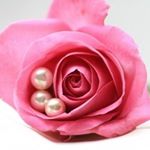 Profile Picture of Mi__ray. (@plumeria.alba__37) on Instagram