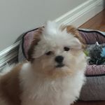 Profile Picture of Wyatt (@wyatt_fritz5) on Instagram