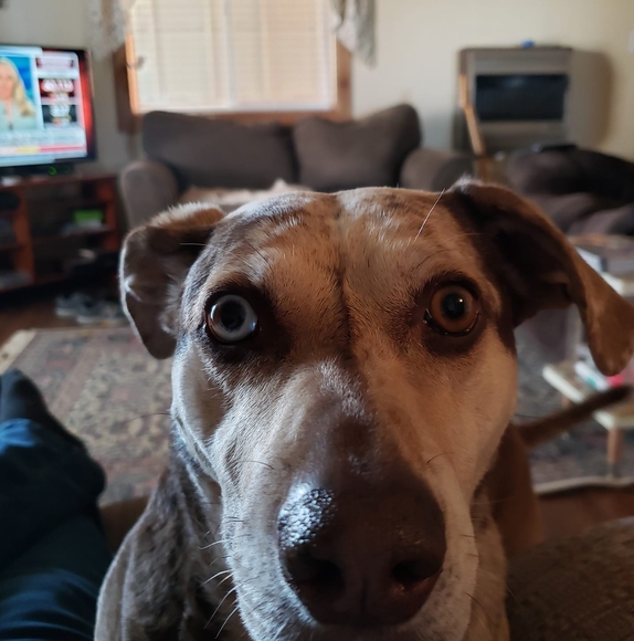 Profile Picture of Kristie Kanady (@kristiekanady) on Poshmark