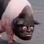 Profile Picture of Douglas Alexander Røise (@djroise) on Instagram