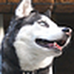 Profile Picture of Nathan Peters (@dv8withn8) on Flickr