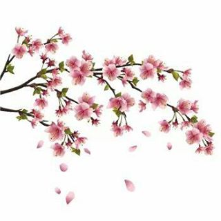 Profile Picture of Autumn Cherry (@autumn.cherry.359) on Facebook