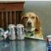 Profile Picture of Ynostos (@alexorzechowski63) on Pinterest