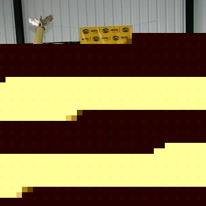 Profile Picture of Kevin Oles (@220209402) on Myspace