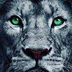 Profile Picture of dorian black (@dorianblack378) on Instagram