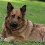 Profile Picture of Ralph Friedrich (@friedrich.ralph) on Instagram