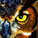 Profile Picture of Adam Grayson (@adamg8511) on Pinterest