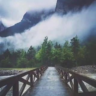 Profile Picture of Zakaria Mohammad (@zakaria_mohammad) on Instagram