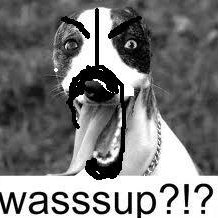 Profile Picture of Kyle Martell (@MartellKyle) on Twitter