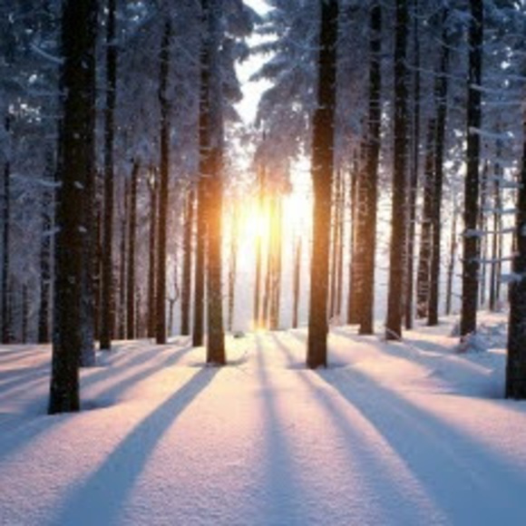 Profile Picture of Alison Greischar (@agreischar) on Poshmark