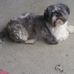 Profile Picture of Maxine Honeycutt (@maxine.honeycutt.908) on Facebook