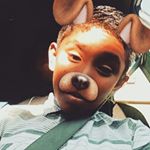 Profile Picture of steven medrano (@stevenmdrano) on Instagram