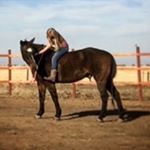 Profile Picture of Abi Hicks  Lindsey Hicks (@american_horserider_34) on Instagram