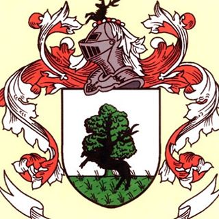 Profile Picture of Robin Alexander Reher (@robin.a.reher) on Facebook