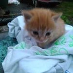 Profile Picture of Sandy Newton (@sandy.newton.5203) on Instagram